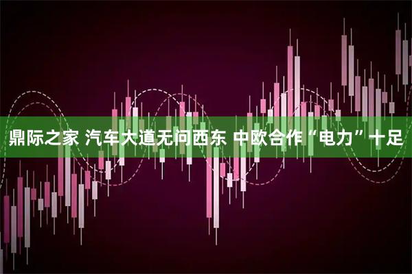 鼎际之家 汽车大道无问西东 中欧合作“电力”十足