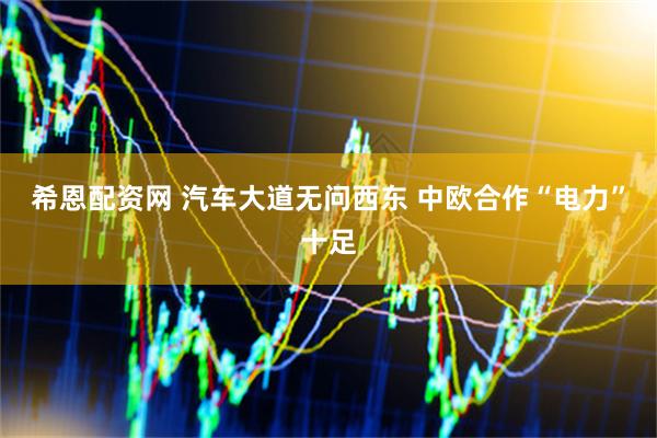 希恩配资网 汽车大道无问西东 中欧合作“电力”十足