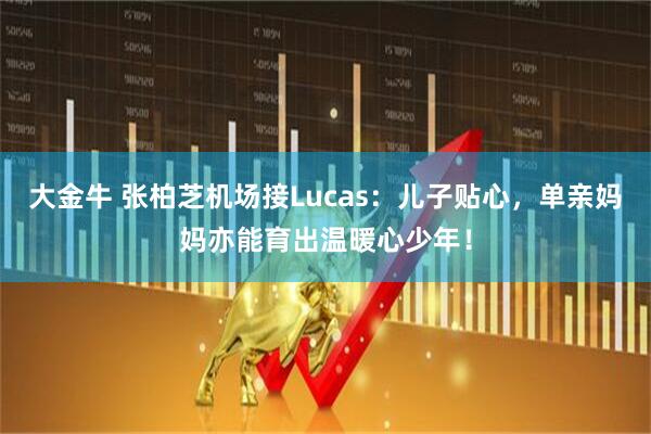 大金牛 张柏芝机场接Lucas：儿子贴心，单亲妈妈亦能育出温暖心少年！