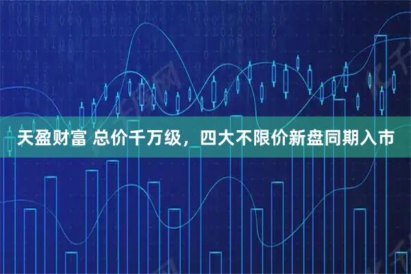 天盈财富 总价千万级，四大不限价新盘同期入市